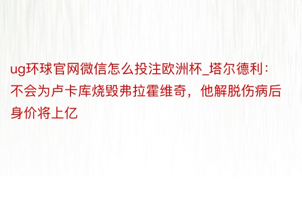 ug环球官网微信怎么投注欧洲杯_塔尔德利：不会为卢卡库烧毁弗拉霍维奇，他解脱伤病后身价将上亿